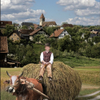 Horst Pfrommer, Calw, Altburg, Spindlershof, Heuwagen