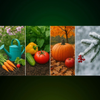 Seasonal Gardening Guide 2025: Master Every Season and Avoid Costly Gardening Mistakes