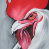 angry rooster