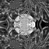 167213564 mirror21