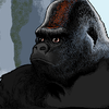 APE OF WRATH