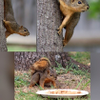Mission  Impossible 