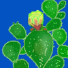 Flap Jack Cactus