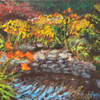 Stonewall Flowers I