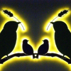 Shadows of Birds