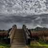 Arch Walkway - January 25 2025