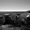 Shell Beach California 