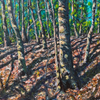 “Dappled Light II”
