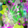 Crexis