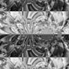 Crexis