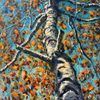 “Birch View VI”