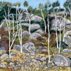 Ghost gums, boulder country