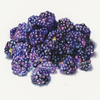 blackberry
