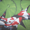 red spotted koi