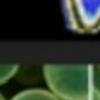 Screenshot 2026-10-13 at 7
