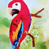 Parrot Painting # 29