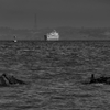 Old & New Ships on the Strait -  June 4 2025