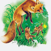 Fox Cubs Play