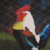 Bantam