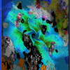 Crexis
