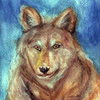 Snow Wolf