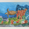 seaturtle#2