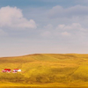 Icelandic Landscape