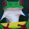 Red Eyed Tree Frog