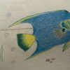 Underwater Scene