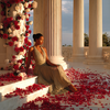 Petals Beneath a Quiet Sky