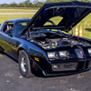 Crexis