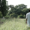 The Searcher-2
