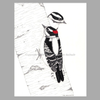 Downy Woodpecker Pair Ink Pointillism