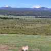 The Pintlar Wilderness