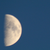 Half Moon at Mid Day