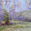 Spring forest