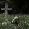 The Searcher