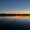 IMG 7726