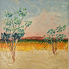 Yeruham, June 2025