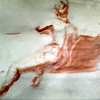 Paloma Back Sketch