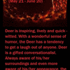 Native American Zodiac Sign, (Deer)