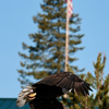 9G0A0458