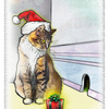 Santa-Cat