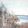 Spaniards Bay