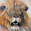 Oil  Paintings