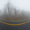 Foggy road
