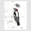 Downy Woodpecker Pair Pen and Ink Pointillism