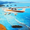 Landscapes - Seascapes - Wildlife