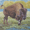 Buffalo