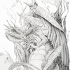 In Dragon